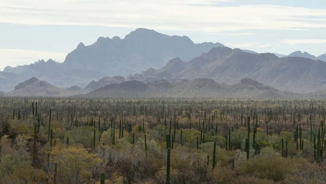 Mexico - Baja Divide