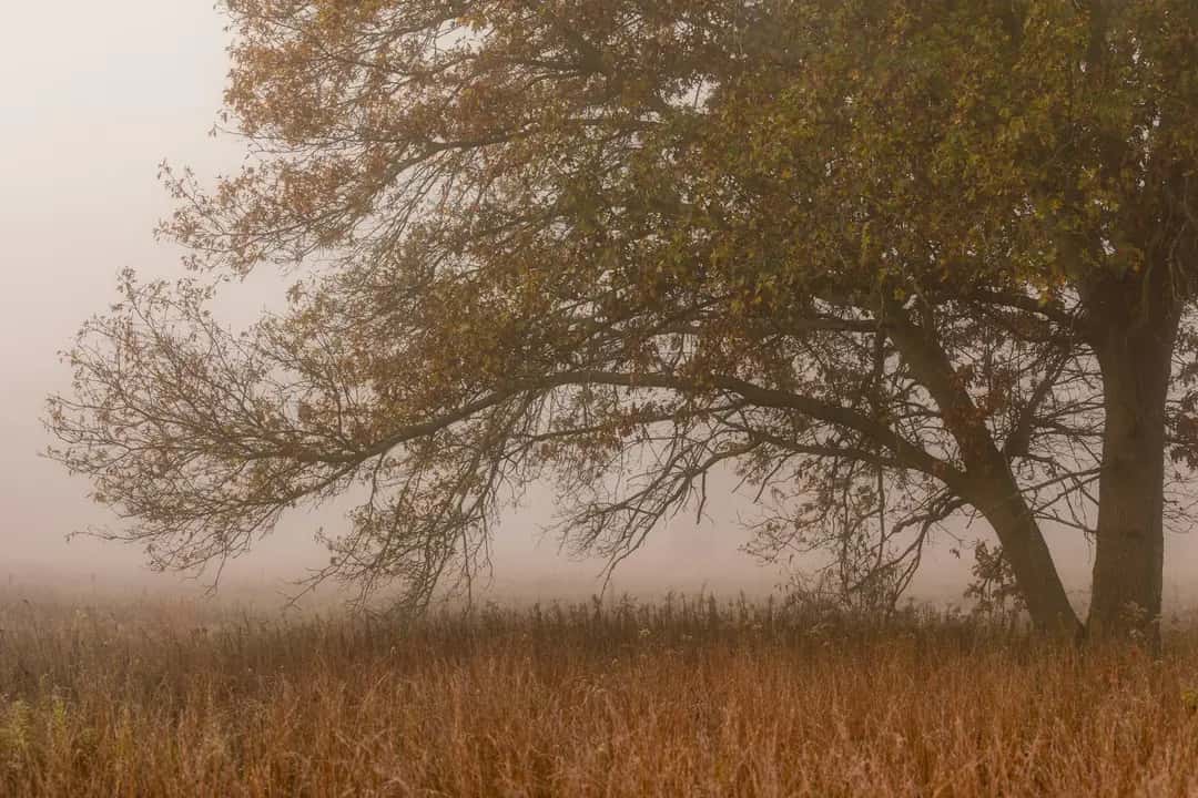 USA - GNBR - S05 - USA - Part 2 (Wisconsin)