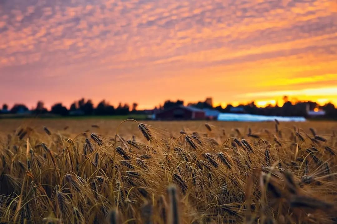 Finland - Arctic Post Road MTB Route
