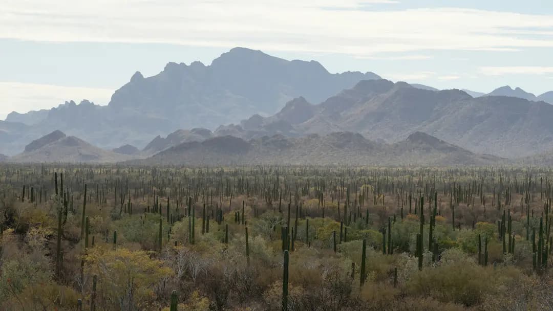 Mexico - San Juanico - La Ventana Ancient Ranch