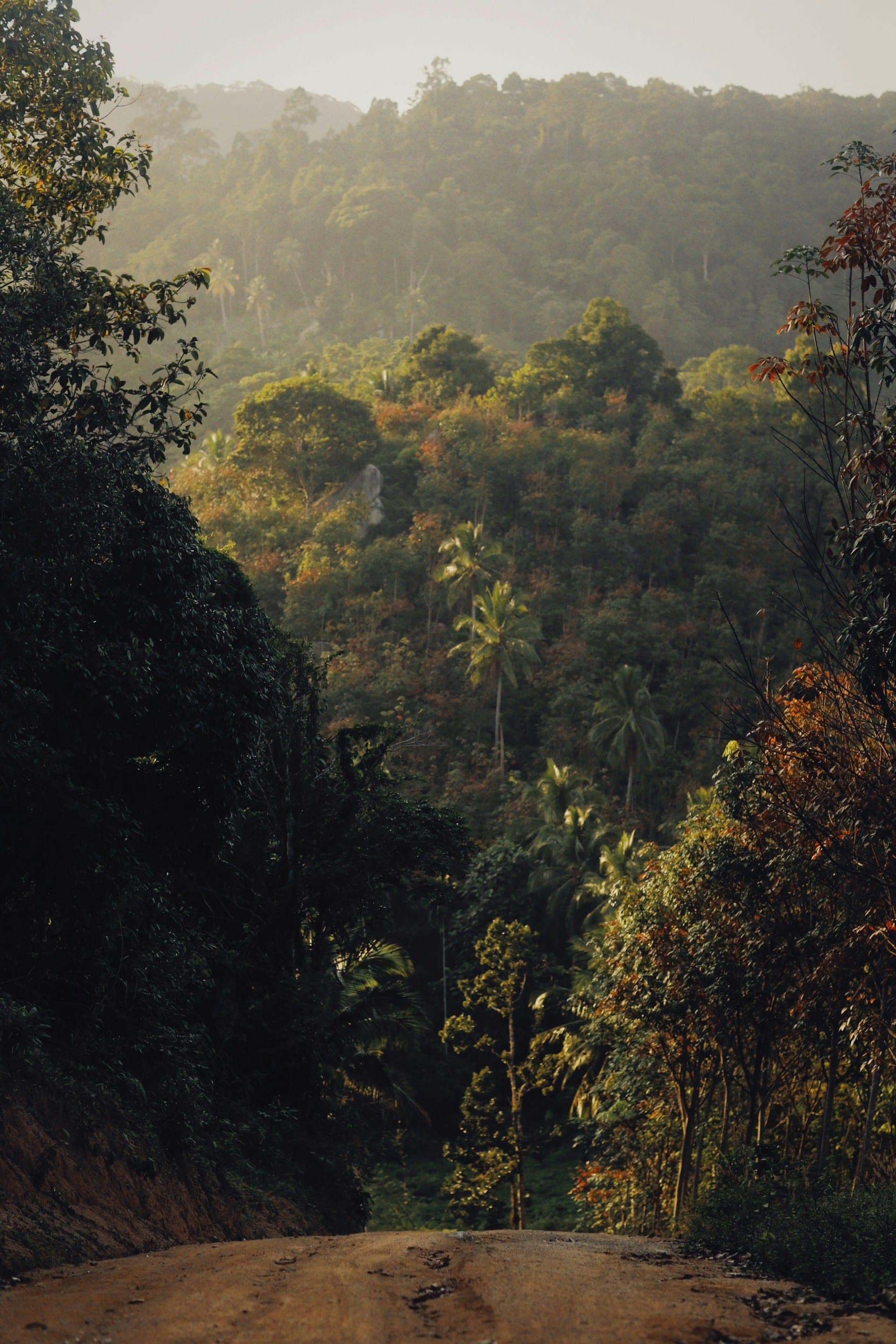 Indonesia - Sumatra TBC