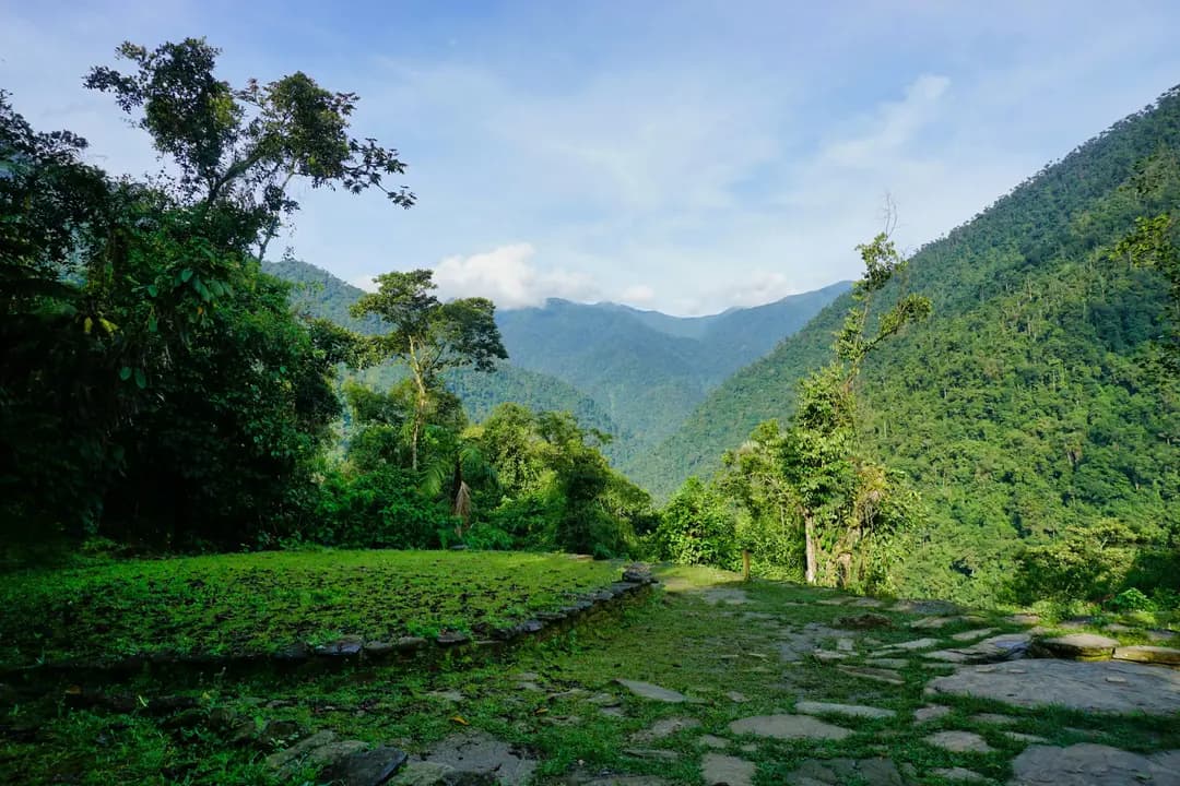 Colombia - El Camino de Cafè