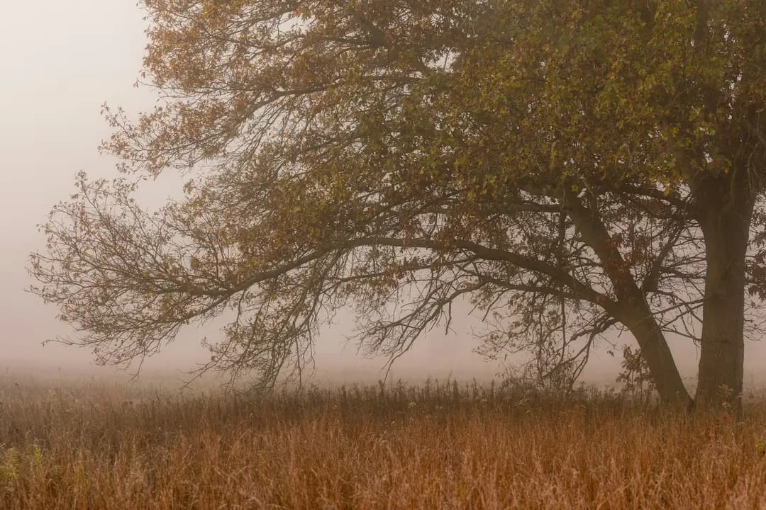 USA - GNBR - S05 - USA - Part 2 (Wisconsin)